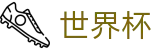 2026美加墨世界杯FIFA · 唯一指定客户端安装